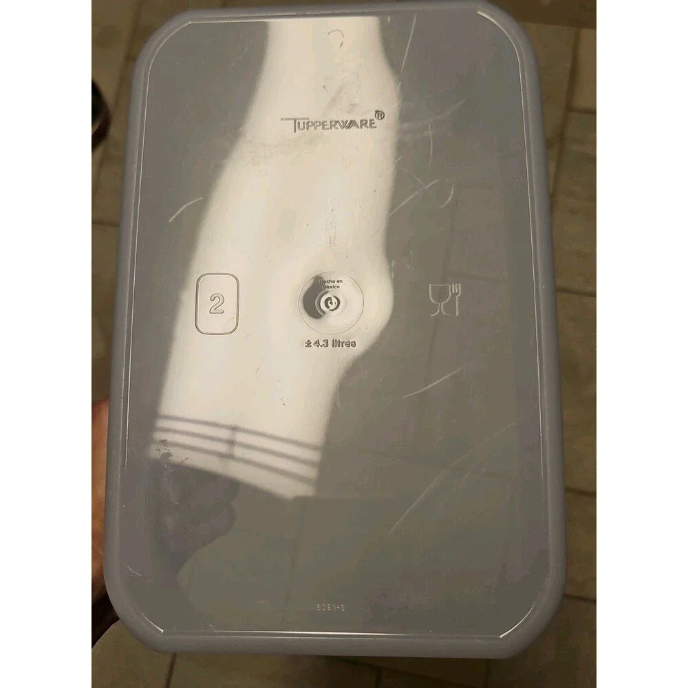 Tupperware Modular Mates #2 Container #1609 w/ Blue Lid #1610, 18 Cup, 4.3 Litre